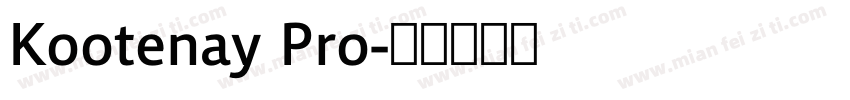Kootenay Pro字体转换